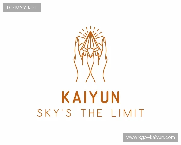 关于kaiyun公司